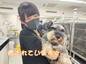 ドッグパークルームの生徒とモデル犬♪